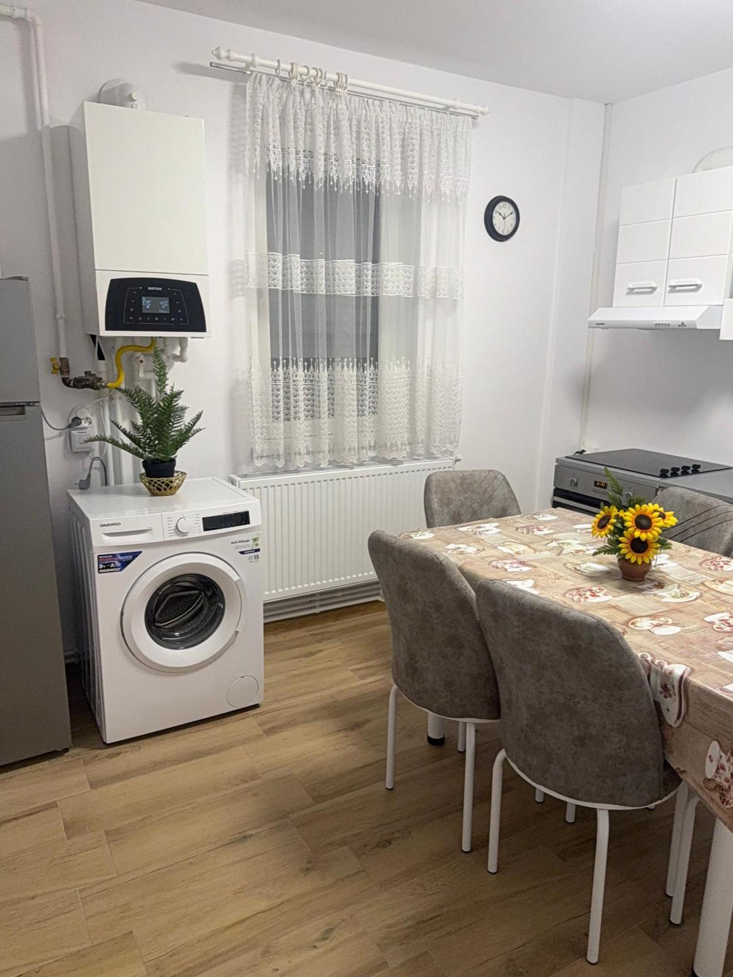 Modernul Apartament De Langa Castel Hunedoara Ngoại thất bức ảnh
